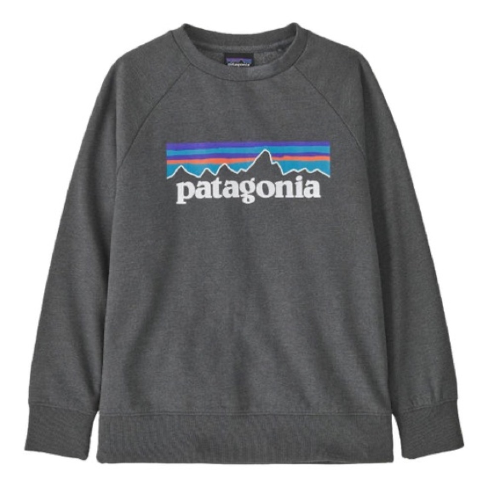 Patagonia Organic Cotton Logo Crewneck Sweatshirt Blue Youth Size L